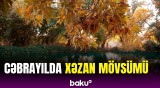 Cəbrayılda qızıl payız | Gözoxşayan təbiət mənzərəsi