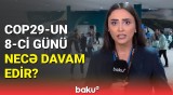 Əməkdaşımız COP29-un səkkizinci günü ilə bağlı son məlumatları çatdırdı