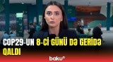 COP29-un 8-ci günündə nələr baş verdi?