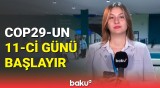 COP29-un on birinci günündə nələr müzakirə ediləcək?