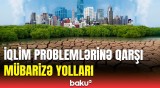 İqlim dəyişikliyinin yaratdığı fəsadların aradan qaldırılması barədə müzakirələr