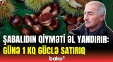 Keçən il 6 manata olan şabalıd bu il... | Bahalaşmanın əsl səbəbi nədir?