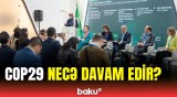 COP29-un 11-ci günündə müzakirə olunan əsas məsələlər