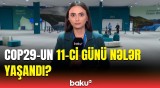 COP29-un 11-ci günü yekunlaşdı | Əməkdaşımız ən son məlumatları çatdırdı