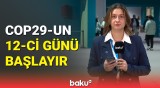 COP29-un on ikinci günündə nələr müzakirə ediləcək?