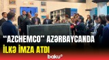 "AZCHEMCO" COP29-da | Şirkət direktoru gələcək hədəflərdən danışdı