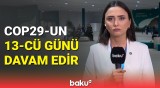 COP29-un on üçüncü günündə nələr müzakirə edildi? | Əməkdaşımız ən son məlumatları çatdırdı