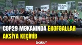 COP29 məkanında daha bir aksiya | Etirazçılar nə tələb edir?