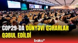 COP29-un 13-cü günü: Hansı mühüm nəticələr əldə edildi?