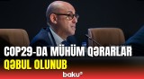 Müəyyən edilən məqsədə çatdıq | BMT rəsmisi COP29-u qiymətləndirdi