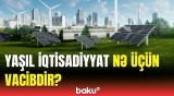 Yaşıl enerji barədə yeni istiqamət | Azərbaycanda hansı işlər görülür?