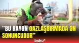 Elektrik enerjisində güzəştlər ola bilər? - Deputatdan qazlaşdırma ilə bağlı xahiş