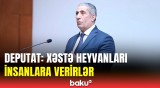 Deputatın iradına nazirdən sərt cavab | Xahiş edirəm ki, araşdırılmamış məlumat verməyin