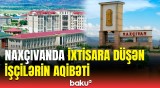 Naxçıvan əhalisinin məşğullunun artırılması təklif olundu | Vüqar Abbasov nələrdən danışdı?