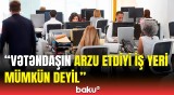 İş yerləri var, amma...  | Musa Quliyev işsizliklə bağlı göstəricidən danışdı