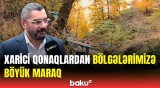 COP29-la bağlı turist axını | Qonaqlar Qax yeməklərinin dadına baxdılar