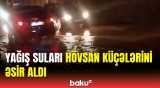 Bakıda güclü yağış fəsadlar törətdi | Sürücülər çətin vəziyyətdə qaldı