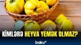 Heyvanı necə yemək lazımdır? - Bir yandan faydalıdır, bir yandan isə...