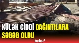 Külək bu əraziləri viran qoydu | Göyçayda küləkli havanın fəsadları