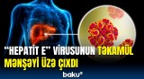 "Hepatit E" virusunun yaratdığı kəskin xəstəliklər | Detallar açıqlandı