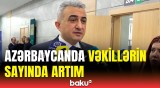 Vəkilliyə böyük maraq var | Anar Bağırov rəqəmləri açıqladı