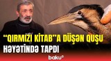 Çox əcaib quşdur, az qalmışdı ki... | Həyətində nadir quş tapan Bakı sakini