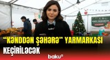 Bakıda keçiriləcək “Kənddən şəhərə” Yeni il yarmarkası ilə bağlı məlumatlar