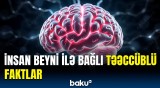 İnsan hüceyrələri kosmosda sağ qaldı? | Elmi araşdırmanın nəticələri