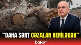 Bu il təbiətə zərərvermə hadisəsinin sayı açıqlandı | Kimliyindən asılı olmayaraq...