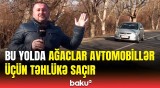 Oğuzda yol kənarındakı ağacların qurumuş budaqları niyə budanmır?