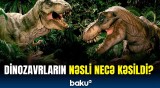 Dinozavrlar necə yox oldu? - Mühüm araşdırmanın təəccübləndirən nəticəsi