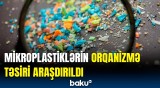 Alimlər insan orqanizmi ilə bağlı nələr aşkarladı? | Elə şey açıqladın ki...