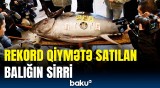 Dünyanın ən bahalı balığı hamını heyrətləndirdi | Onu yemək üçün səbirsizlənirlər