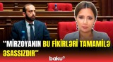 QAİ Mirzoyanın cavabını verdi | Ermənistan tərəfindən ziddiyyətli çıxışlar