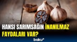 Bu sarımsaqlar bədənimizə necə təsir edir? | Araşdırmaların heyrətləndirən nəticəsi