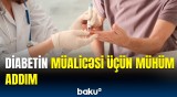 İsveç alimləri ilk dəfə bunu etdi | Tədqiqatlar uğurlu nəticə verərsə...