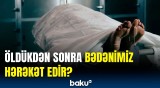 Bu araşdırma alimləri də qorxutdu | Öləndən sonra bədəndə nə baş verir?