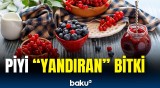 Artıq çəkidən əziyyət çəkənlərin diqqətinə | Bu meyvənin yeyilməsi tövsiyə olunur