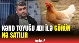 Bu ölkədən Azərbaycana təhlükə saçan toyuq əti gətirilir | Qida mühəndisi ifşa etdi