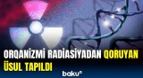 Bakteriya inanılmaz kəşfə yol açdı | Bu üsuldan necə istifadə olunacaq?