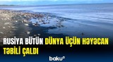 Baykal gölü ilə bağlı bu vəziyyət dünyadakı hansı təhlükənin xəbərçisidir?