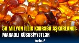 Kəhrəbanın içindən nələr tapıldı? | Hər kəsi təəccübləndirən faktlar