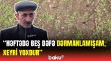 4000 ödəmişdim, amma... | Fermerlərin üzləşdiyi problem barədə Aqrar Sığorta Fondundan açıqlama