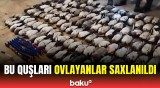 Ov edənlər bunları bilsin | Lənkəranda qanunsuz ovla bağlı əməliyyat