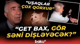 Sakinlər özündən çıxdı | Evində saxladığı itlərlə bağlı sakin nə dedi?