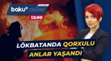 Lökbatanda bina sakinlərini dəhşətə gətirən hadisə - Baku TV CANLI