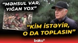 Yol kənarındakı ağacların meyvələrini kimlər yığa bilər? - Baku TV