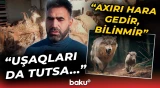 “Girib hamısını məhv ediblər” | Kürdəmir sakini dəhşətli hücumdan danışdı - Baku TV