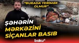 Maşının üstünə çıxır, altına girir | Siçanların əlindən təngə gələn sakinlər - Baku TV