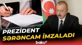 Prezident bir sıra idmançıları və idman mütəxəssislərini təltif etdi - Baku TV